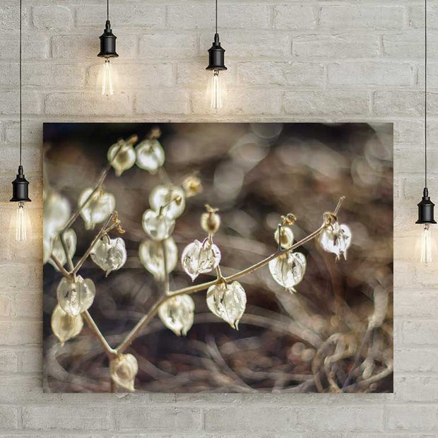 Botanical Photography Neutral Wall Art Seed Pods Nature
