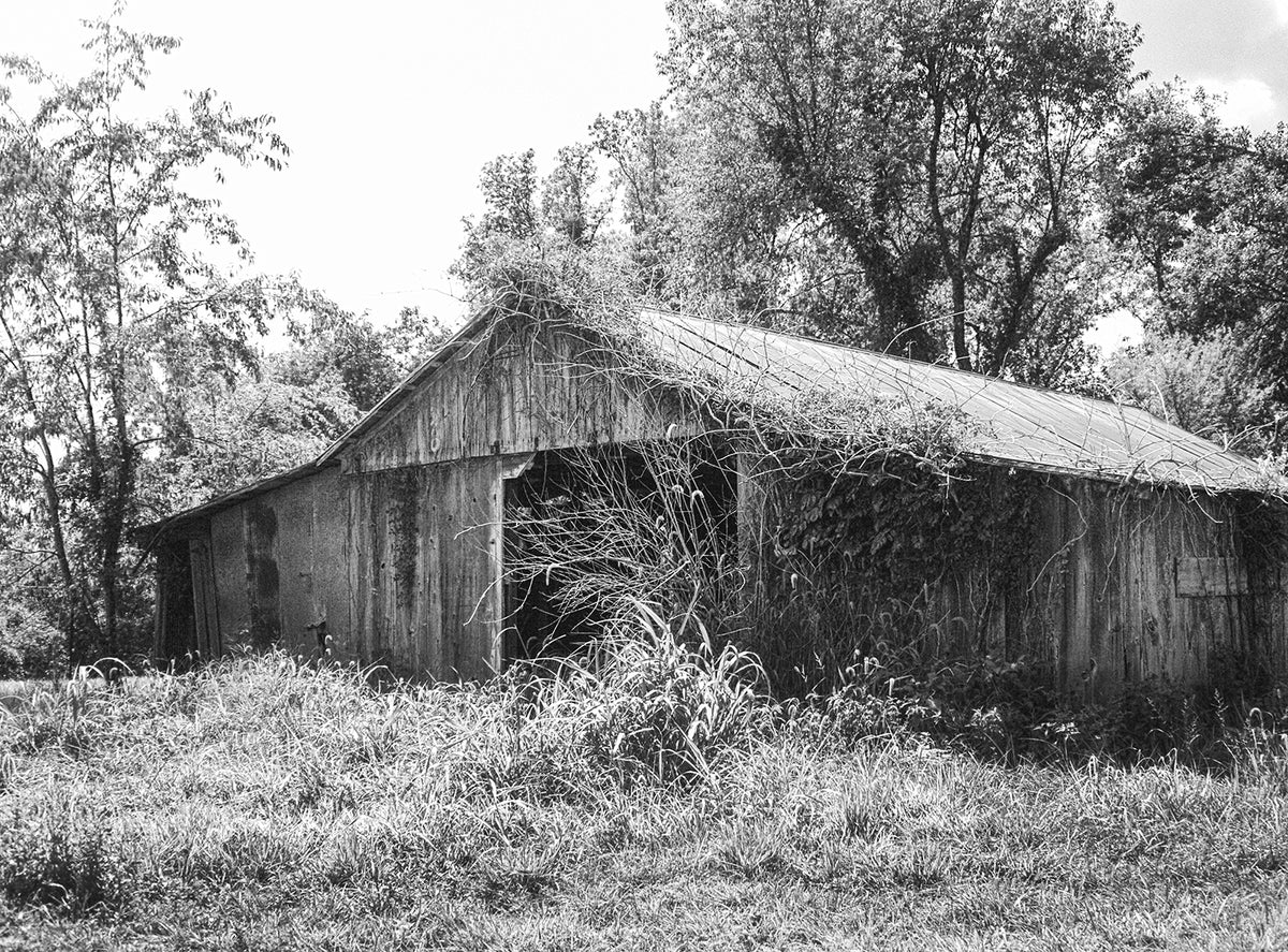 Illinois Barn Black and White Film Photography