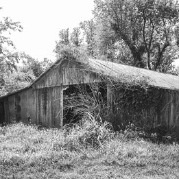 Illinois Barn Black and White Film Photography