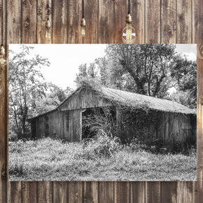 Illinois Barn Black and White Film Photography
