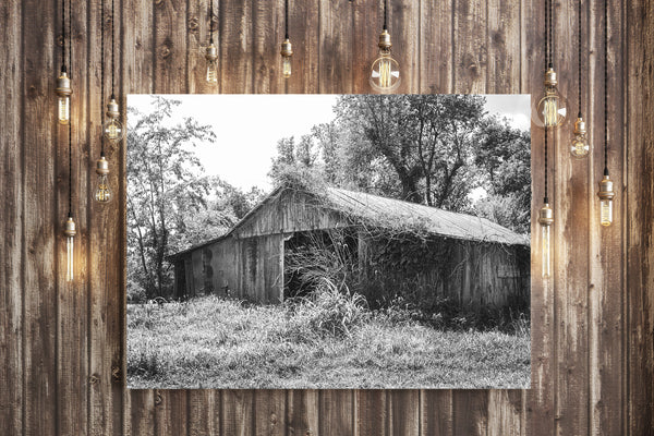 Illinois Barn Black and White Film Photography