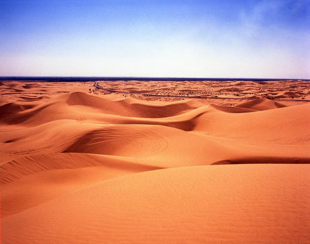 Imperial Sand Dunes Landscape, Desert Photography Lost Kat Photography