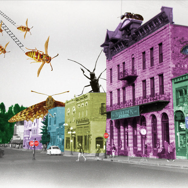 Insect Attack Funky Collage Wall Art Print - Photography