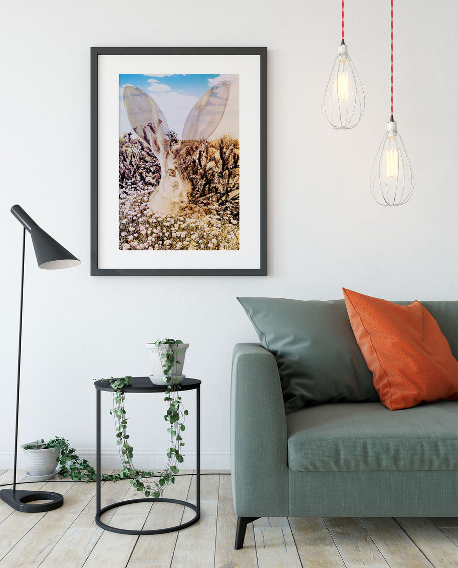 Jack Rabbit of the Desert Photo Collage Wall Art Print -