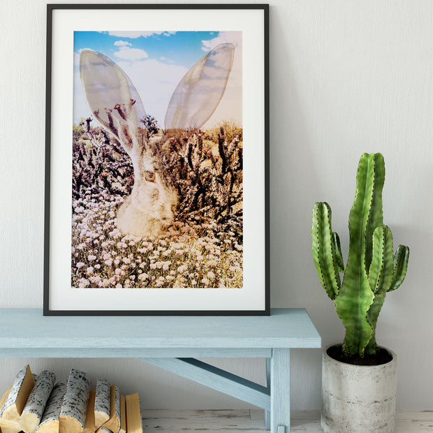 Jack Rabbit of the Desert Photo Collage Wall Art Print -