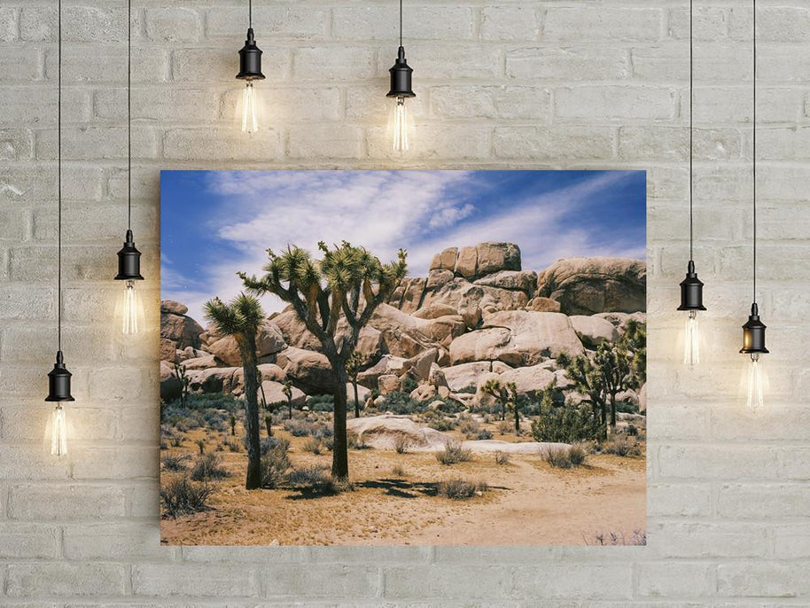 Joshua Tree Southern California Fine Art Photo Print -