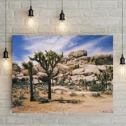 Joshua Tree Southern California Fine Art Photo Print -