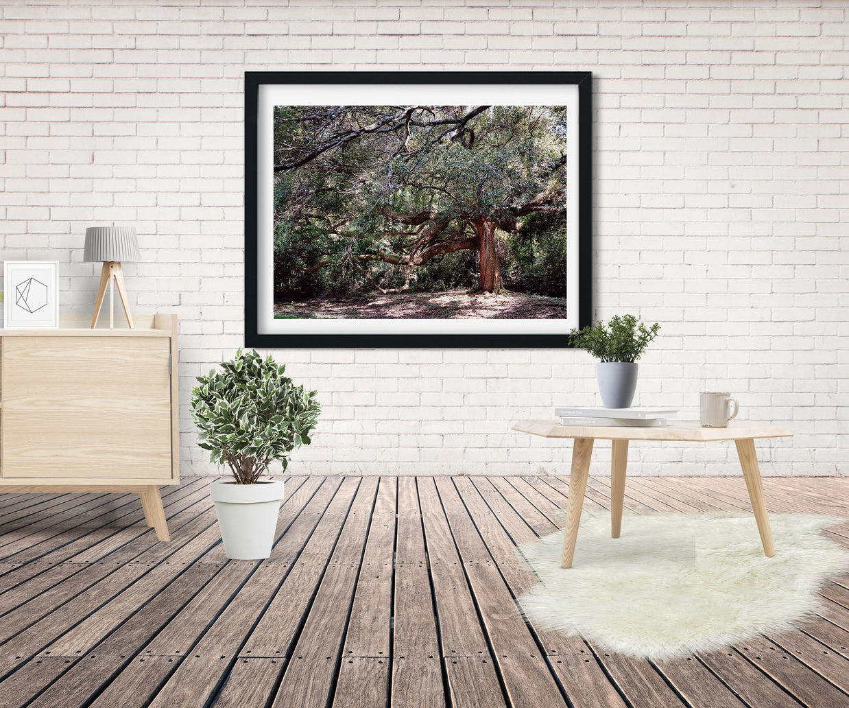 The Enchanted Oak Photo Print Louisiana Nature Photography