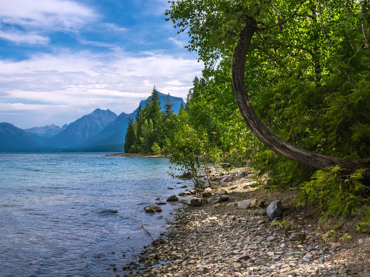 Mountain Lake Photo Print Montana Glacier National Park -