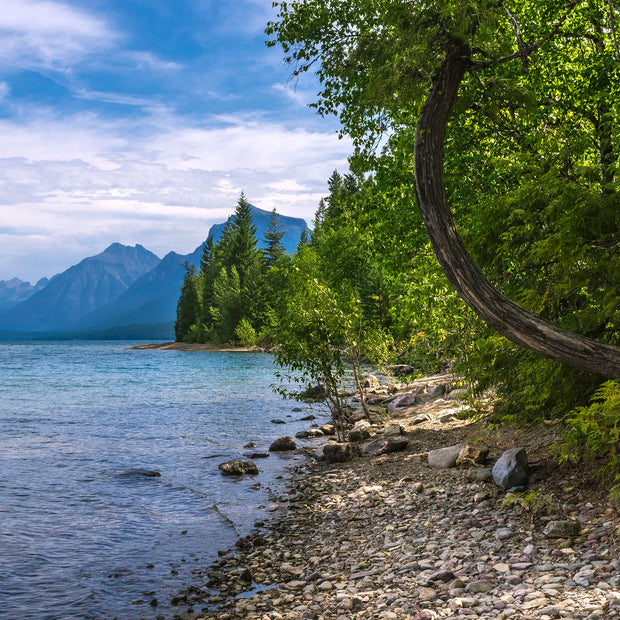 Mountain Lake Photo Print Montana Glacier National Park -