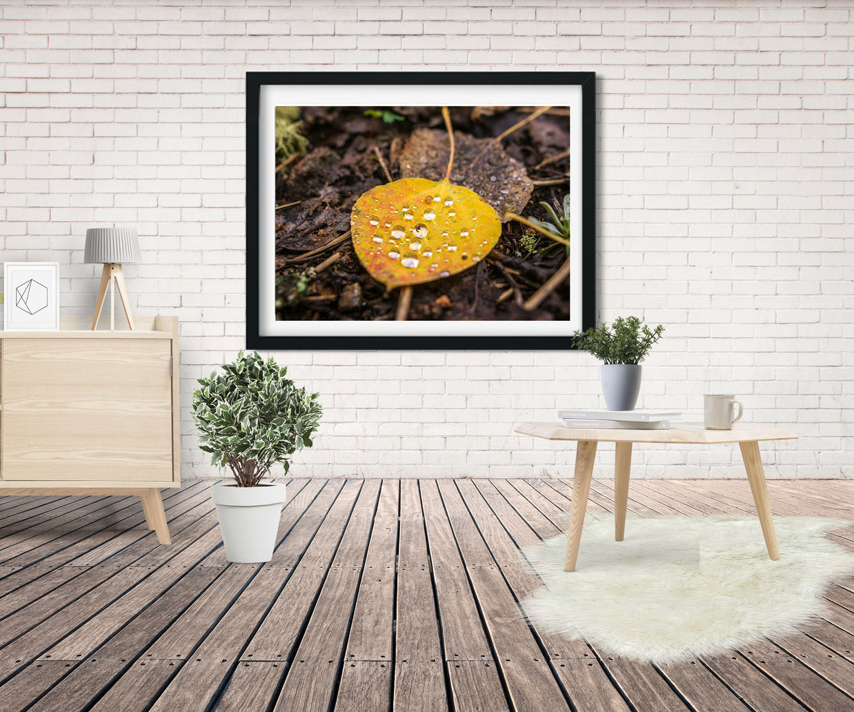 Autumn Aspen Leaf and Droplets Photo Print Colorado Wall Art
