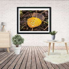 Autumn Aspen Leaf and Droplets Photo Print Colorado Wall Art