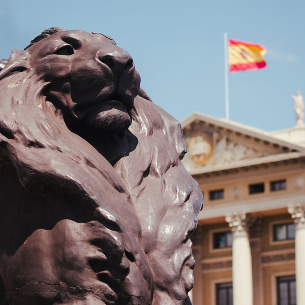 Lion of Barcelona Photo Print - Photography