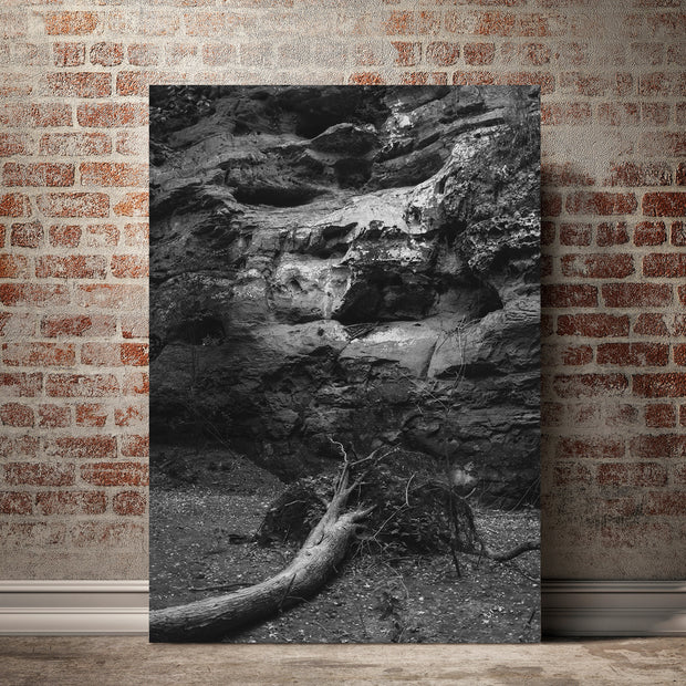 Hear This Fallen Tree Ohio Black and White Photo Print -