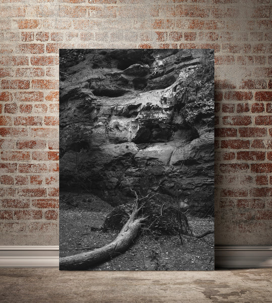 Hear This Fallen Tree Ohio Black and White Photo Print -