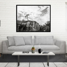 Lone Tree Utah Black and White Photo Print - Photography