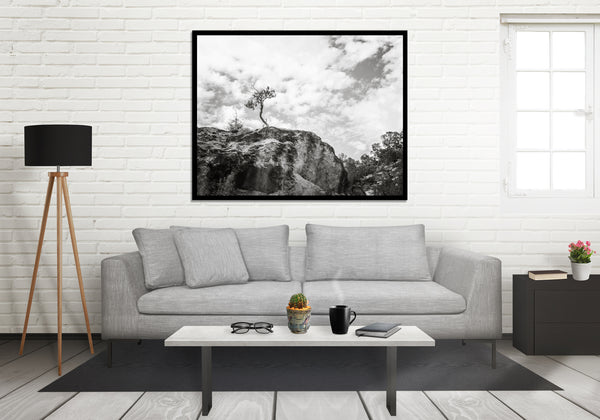 Lone Tree Utah Black and White Photo Print - Photography