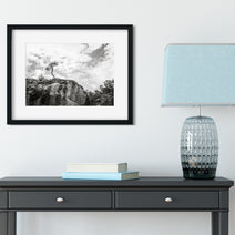 Lone Tree Utah Black and White Photo Print - Photography