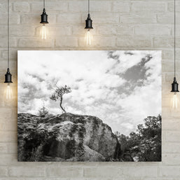 Lone Tree Utah Black and White Photo Print - Photography