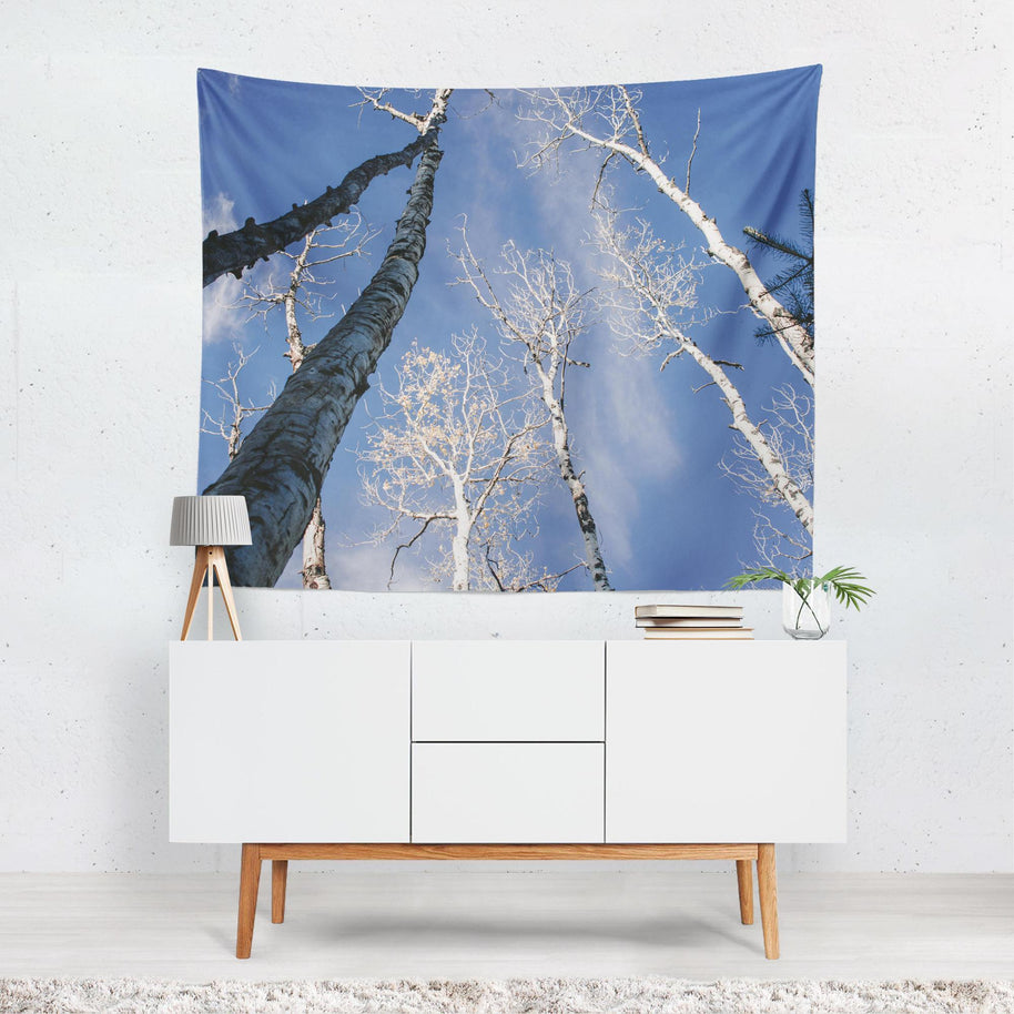 Looking Up at the Birch Forest, Nature Wall Tapestry Lost In Nature