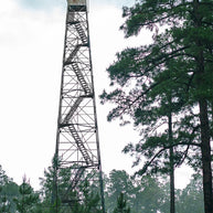 Gardner Lookout Tower Louisiana Nature Photography