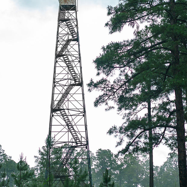 Gardner Lookout Tower Louisiana Nature Photography