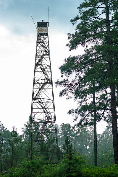 Gardner Lookout Tower Louisiana Nature Photography