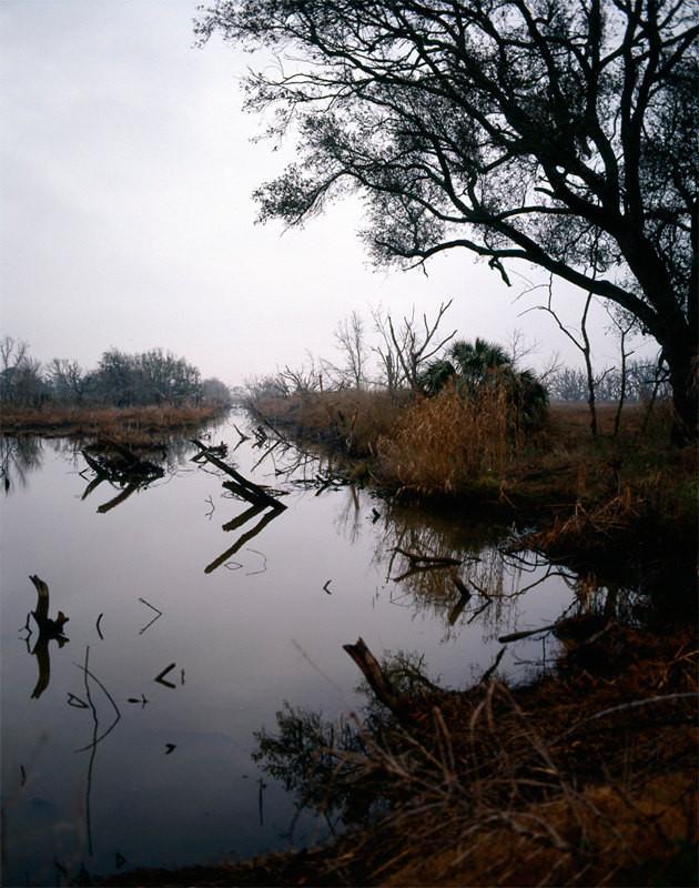 Louisiana Swamp Reflections Fine Art - Photography