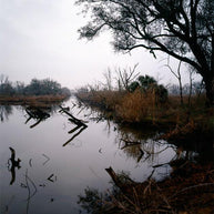 Louisiana Swamp Reflections Fine Art - Photography