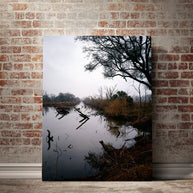 Louisiana Swamp Reflections Fine Art - Photography