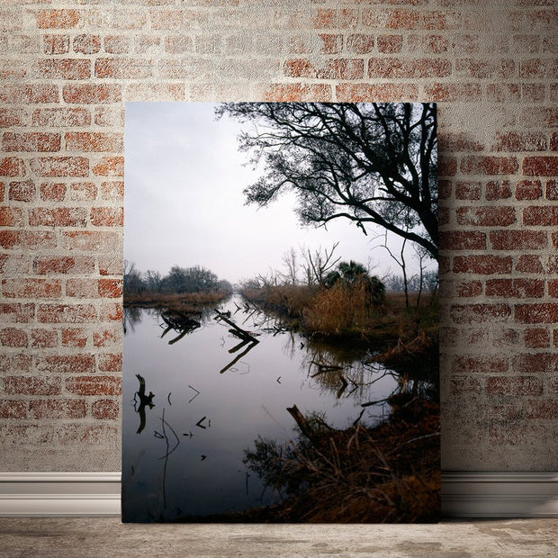 Louisiana Swamp Reflections Fine Art - Photography