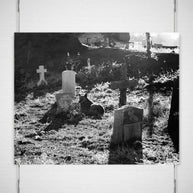 Man's Best Friend Dog and Cemetery Photographic Print -