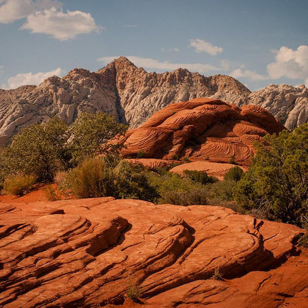 Melted Dunes Snow Canyon State Park Utah Photography