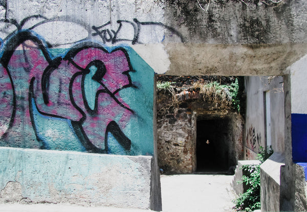 Graffiti Portal Photo Print Mexico Photography