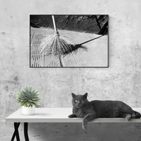 Cemetery Broom and Shadows Buenos Aires Art Print -