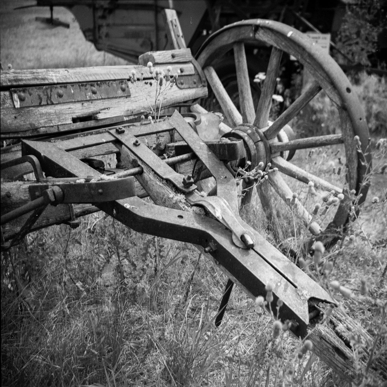 Horse Drawn Farm Equipment Photo Print Black and White Film