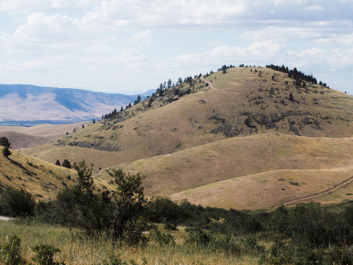 Montana Western Art Print Rolling Hills Photography - Ready