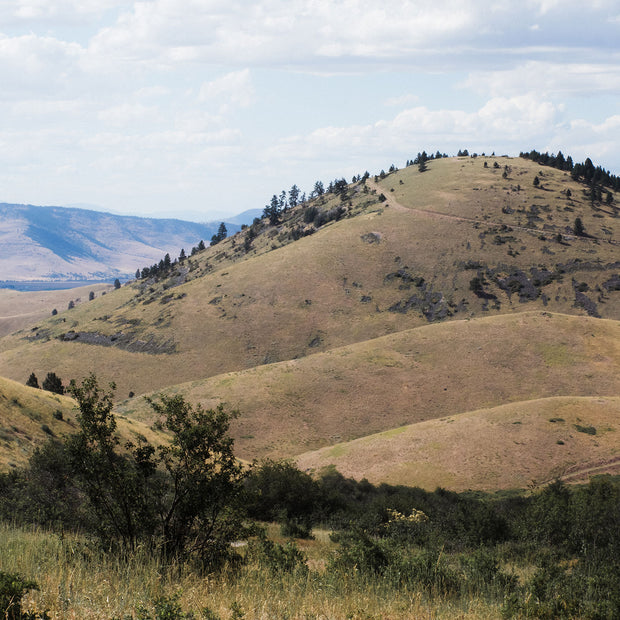 Montana Western Art Print Rolling Hills Photography - Ready