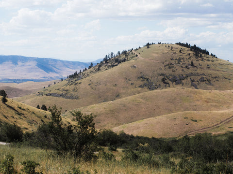 Montana Western Art Print Rolling Hills Photography - Ready