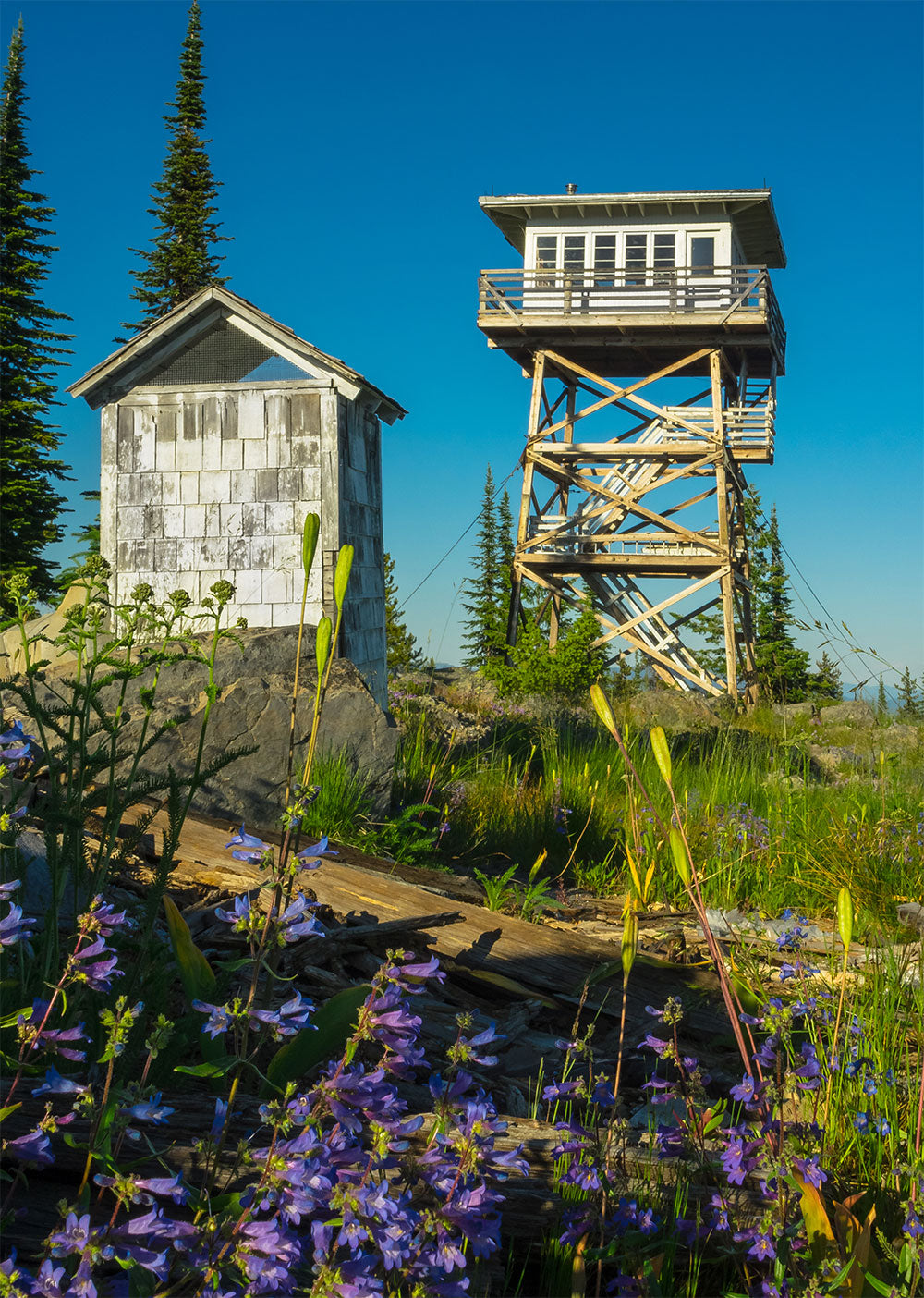 Garver Mountain Lookout Tower Photo Print Yaak Montana