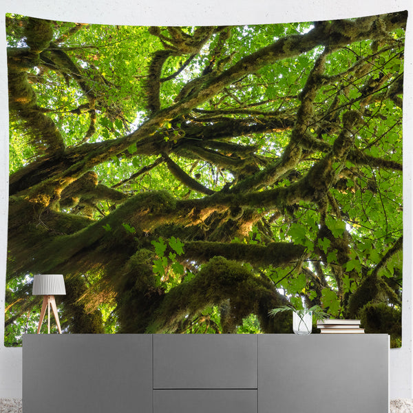 Mossy Tree Above Nature Microfiber Wall Tapestry - 104x88 -