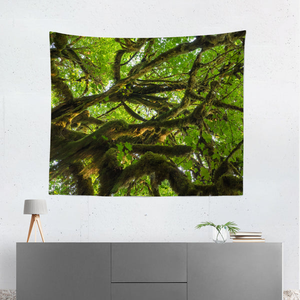 Mossy Tree Above Nature Microfiber Wall Tapestry - 60x51 -