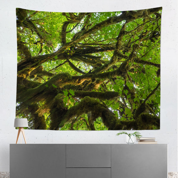 Mossy Tree Above Nature Microfiber Wall Tapestry - 80x68 -