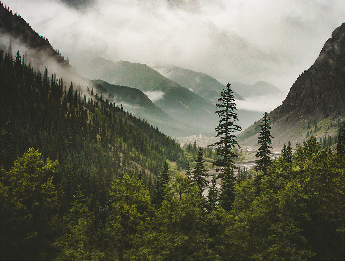 Colorado Mountain Valley Neture Photography Wall Art Print