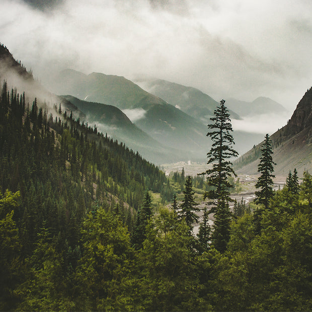 Colorado Mountain Valley Neture Photography Wall Art Print