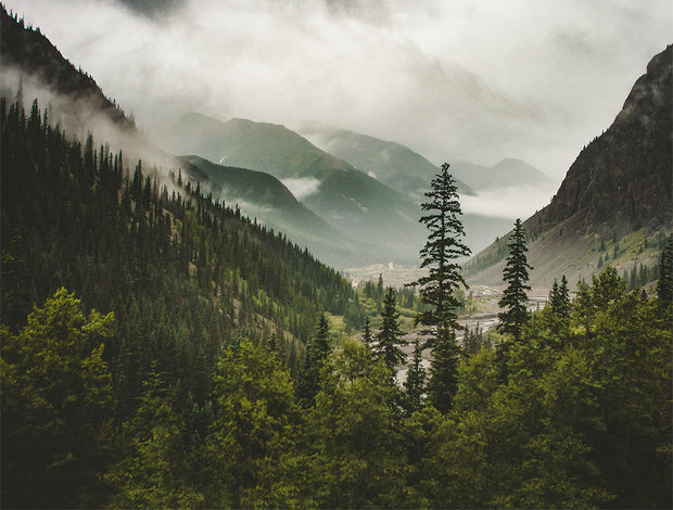 Colorado Mountain Valley Neture Photography Wall Art Print