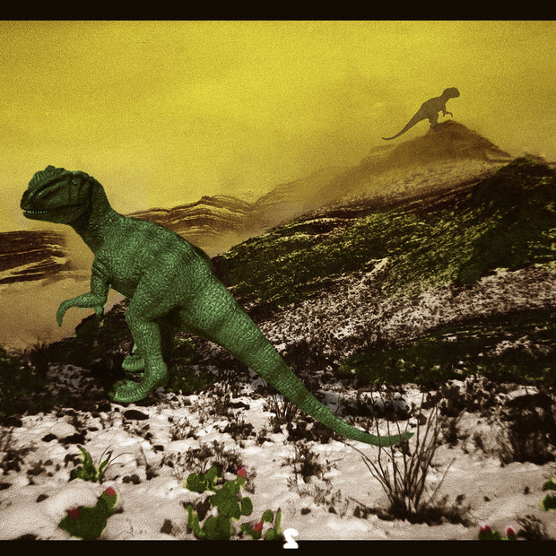 Dinos in the Desert Collage Wall Art Print - Photography