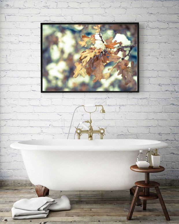 Oak Leaves, Colorado Winter Photography - Fine Art Print Lost Kat Photography