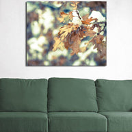 Oak Leaves, Colorado Winter Photography - Fine Art Print Lost Kat Photography