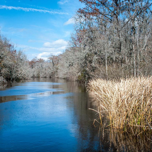 Ogeechee River Georgia Wall Art Print - Photography